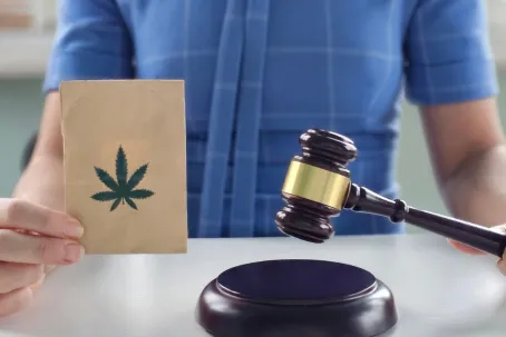 Hemp marijuana and hemp products at court hearing with judge gavel. Illegal sale of cannabis