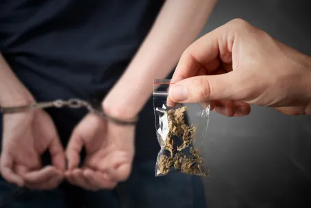 Zipper bag with marijuana. Arrested man in handcuffs in the background.