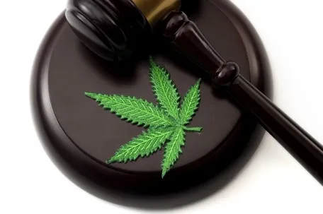 An image of marijuana leaves placed on a wooden gavel.